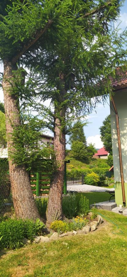 Pod Modrzewiami Apartment Milowka Ngoại thất bức ảnh