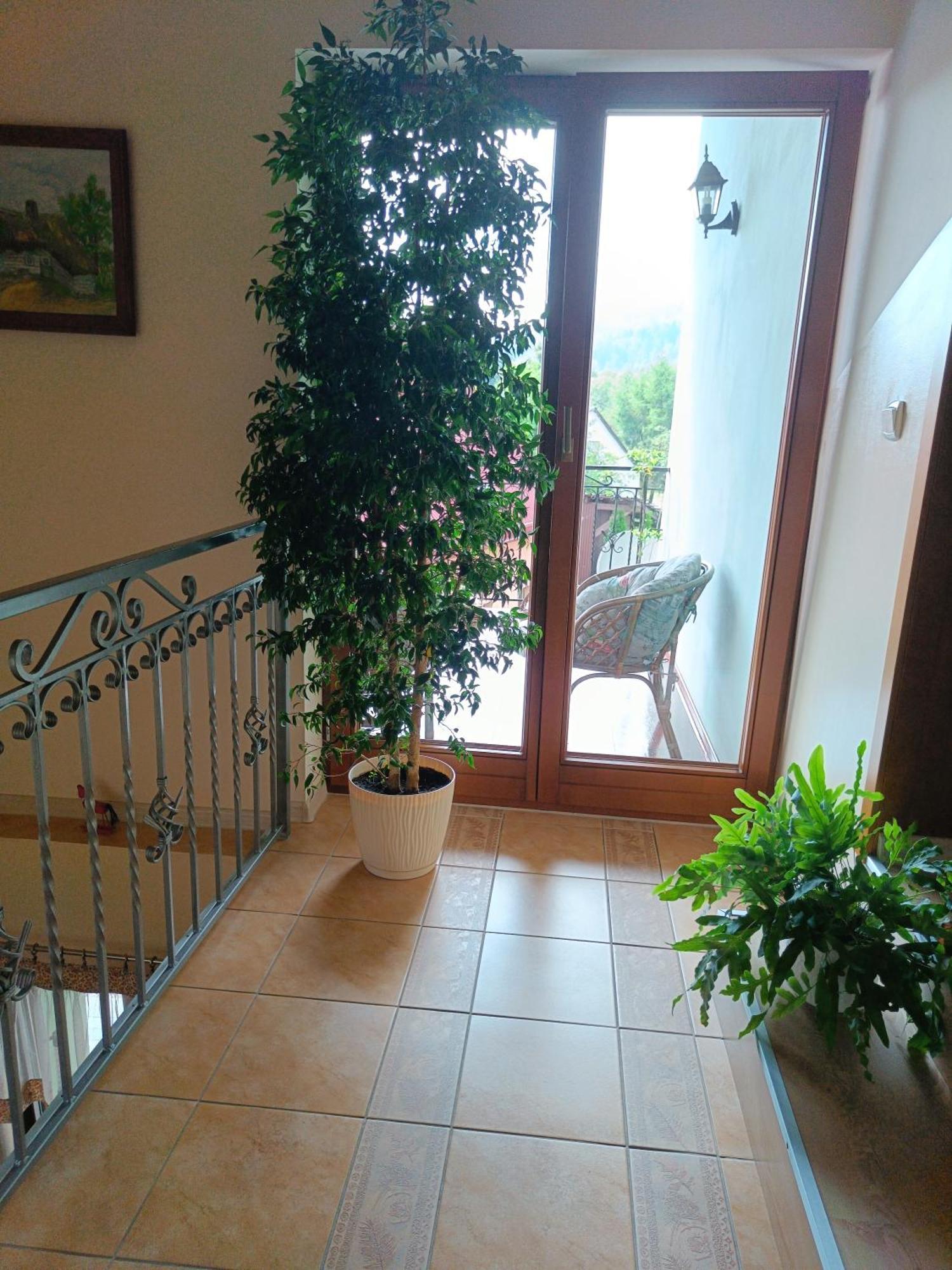 Pod Modrzewiami Apartment Milowka Ngoại thất bức ảnh